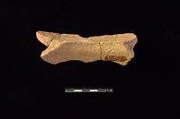 陶罐藏品圖，第2張